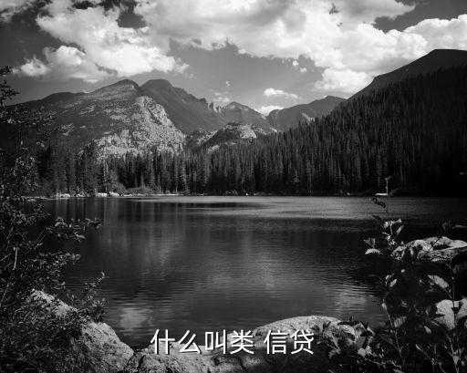 什么叫類(lèi) 信貸