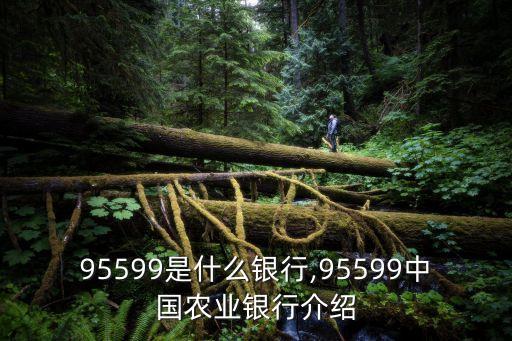 95599是什么銀行,95599中國(guó)農(nóng)業(yè)銀行介紹