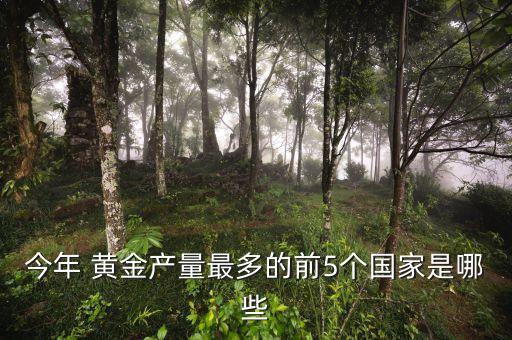 今年 黃金產(chǎn)量最多的前5個國家是哪些