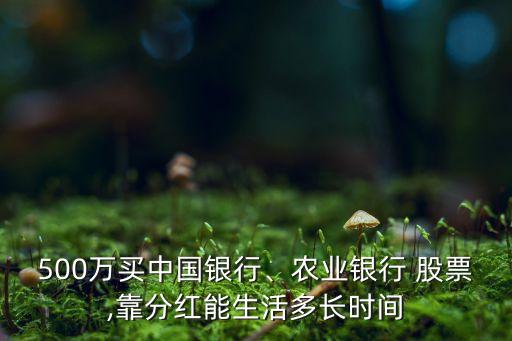 500萬買中國銀行、農(nóng)業(yè)銀行 股票,靠分紅能生活多長時間