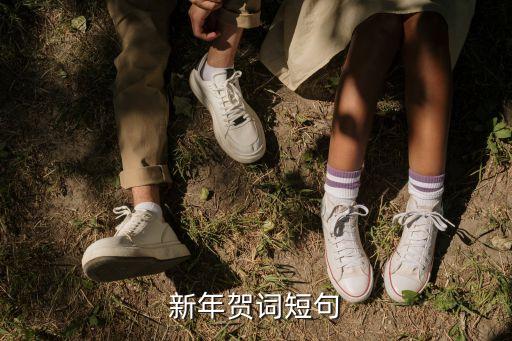 中國國家領(lǐng)導人發(fā)表2003年新春致辭