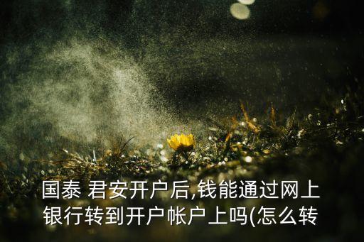  國(guó)泰 君安開戶后,錢能通過(guò)網(wǎng)上 銀行轉(zhuǎn)到開戶帳戶上嗎(怎么轉(zhuǎn)