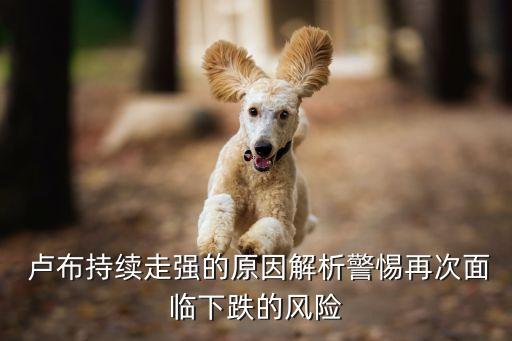  盧布持續(xù)走強的原因解析警惕再次面臨下跌的風險