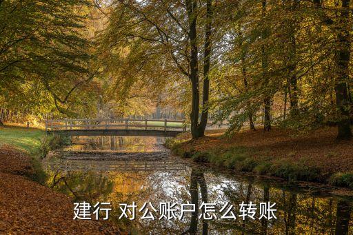 建行 對(duì)公賬戶(hù)怎么轉(zhuǎn)賬