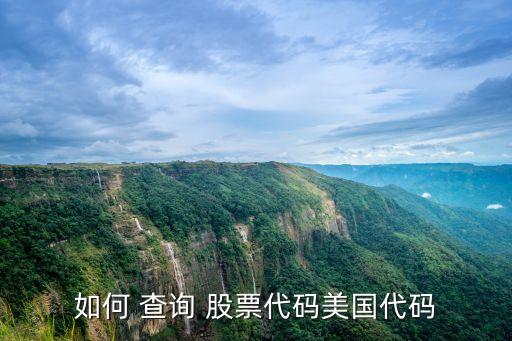 如何 查詢(xún) 股票代碼美國(guó)代碼