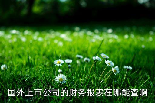 國外上市公司的財務報表在哪能查啊