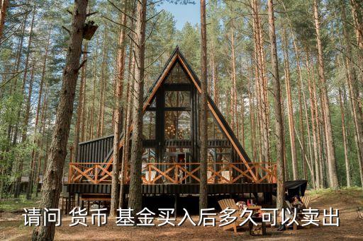 請(qǐng)問 貨幣 基金買入后多久可以賣出