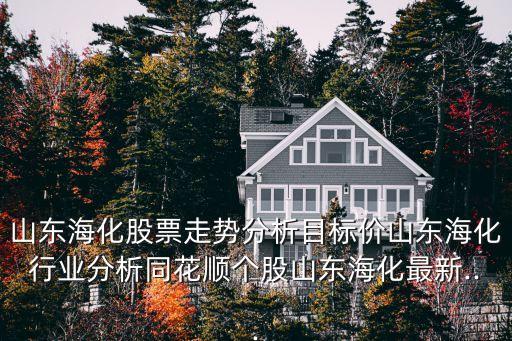 山東海化股票走勢分析目標(biāo)價山東?；袠I(yè)分析同花順個股山東?；钚?..