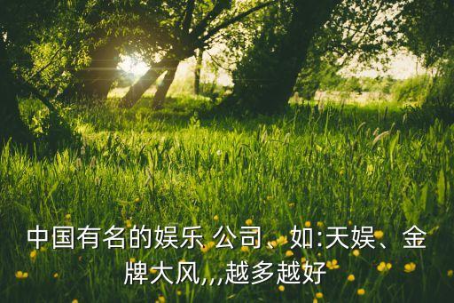 中國(guó)有名的娛樂(lè) 公司、如:天娛、金牌大風(fēng),,,越多越好