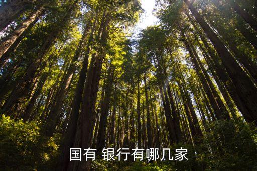 國有 銀行有哪幾家