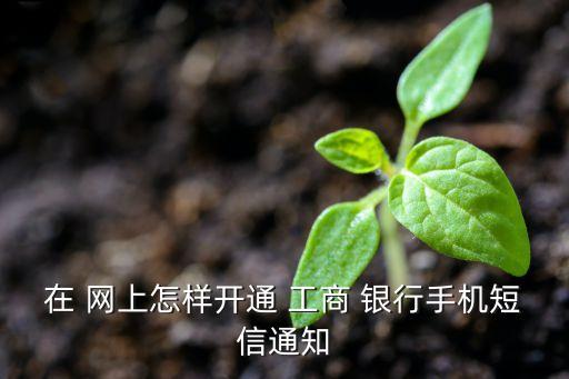 網上工商銀行,中國網上工商銀行
