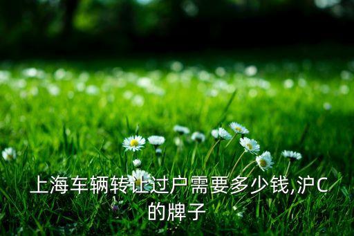  上海車(chē)輛轉(zhuǎn)讓過(guò)戶需要多少錢(qián),滬C的牌子