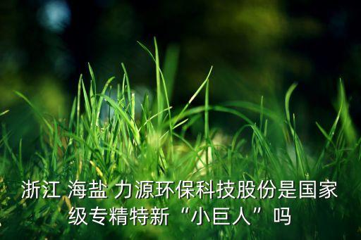 浙江 海鹽 力源環(huán)?？萍脊煞菔菄?guó)家級(jí)專精特新“小巨人”嗎