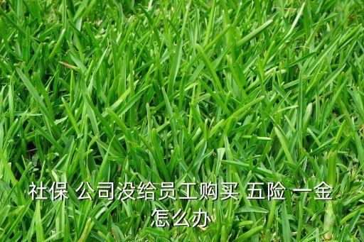 公司不給五險一金