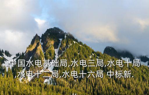 中國水電基礎(chǔ)局,水電三局,水電十局,水電十二局,水電十六局 中標新...