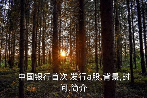  中國銀行首次 發(fā)行a股,背景,時(shí)間,簡介