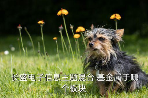 長盛轉型基金001197,長盛競爭優(yōu)勢a基金