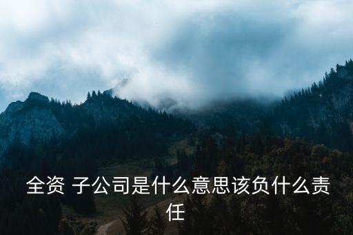  全資 子公司是什么意思該負什么責(zé)任