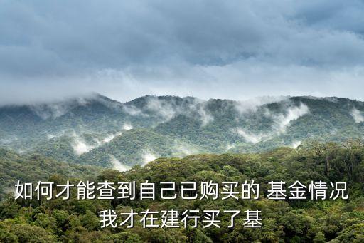 怎樣查詢持有的基金,如何查詢個人名下基金持有情況