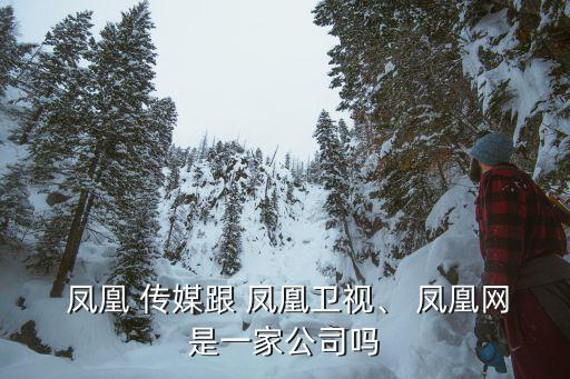  鳳凰 傳媒跟 鳳凰衛(wèi)視、 鳳凰網(wǎng)是一家公司嗎