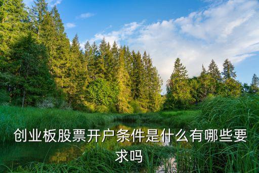  創(chuàng)業(yè)板股票開(kāi)戶條件是什么有哪些要求嗎