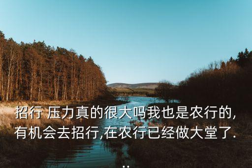 招行 壓力真的很大嗎我也是農(nóng)行的,有機(jī)會(huì)去招行,在農(nóng)行已經(jīng)做大堂了...