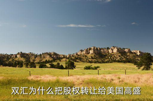 雙匯為什么把股權轉(zhuǎn)讓給美國高盛