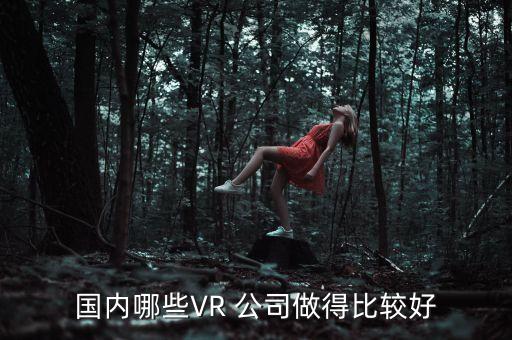 國(guó)內(nèi)哪些VR 公司做得比較好