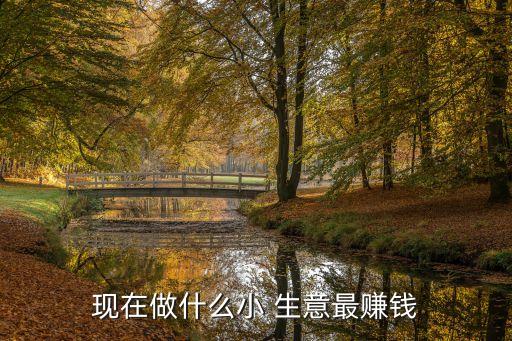 現在做什么小 生意最賺錢