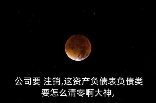  公司要 注銷(xiāo),這資產(chǎn)負(fù)債表負(fù)債類(lèi)要怎么清零啊大神,