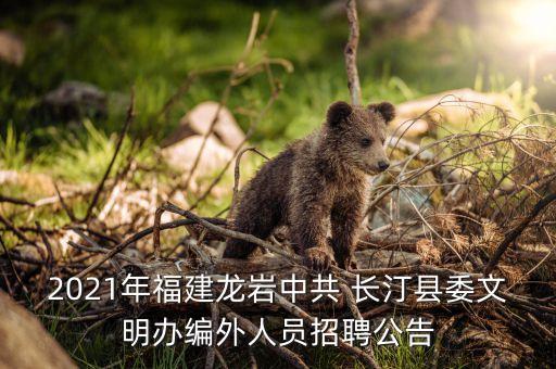 2021年福建龍巖中共 長(zhǎng)汀縣委文明辦編外人員招聘公告