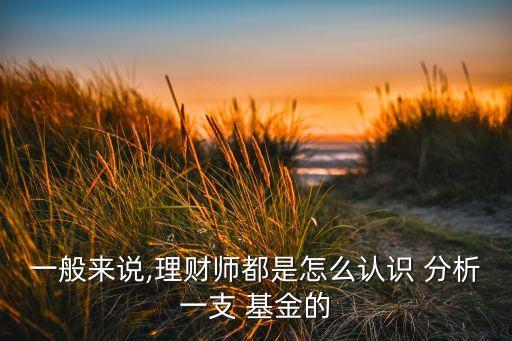 一般來說,理財師都是怎么認識 分析一支 基金的