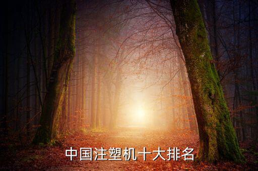 中國注塑機十大排名