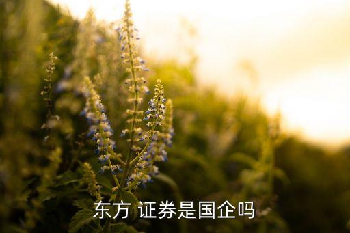 東方 證券是國(guó)企嗎