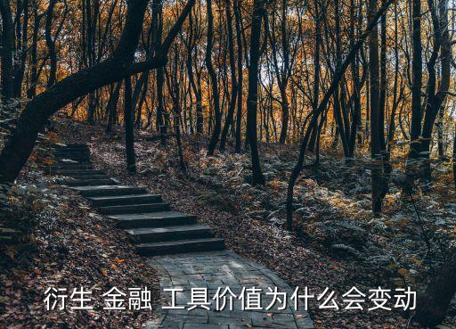  衍生 金融 工具價值為什么會變動