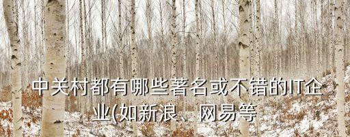  中關(guān)村都有哪些著名或不錯的IT企業(yè)(如新浪、網(wǎng)易等