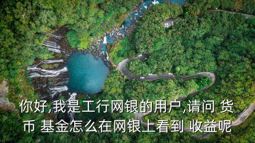 你好,我是工行網(wǎng)銀的用戶,請(qǐng)問 貨幣 基金怎么在網(wǎng)銀上看到 收益呢