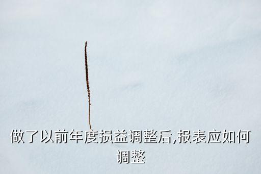 做了以前年度損益調整后,報表應如何調整