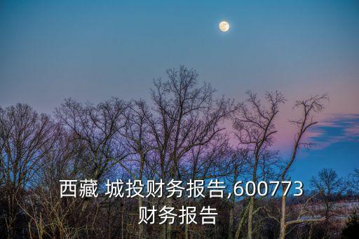  西藏 城投財(cái)務(wù)報(bào)告,600773財(cái)務(wù)報(bào)告