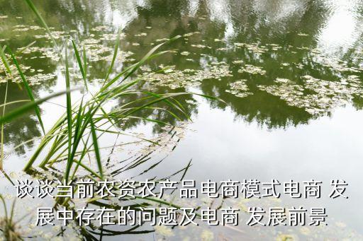 談談當前農(nóng)資農(nóng)產(chǎn)品電商模式電商 發(fā)展中存在的問題及電商 發(fā)展前景