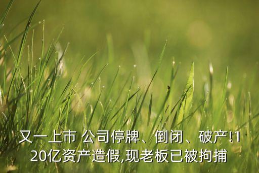 又一上市 公司停牌、倒閉、破產(chǎn)!120億資產(chǎn)造假,現(xiàn)老板已被拘捕