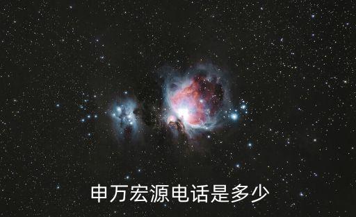 申萬宏源上?？刀窢I業(yè)部