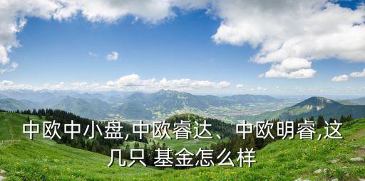 中歐中小盤,中歐睿達、中歐明睿,這幾只 基金怎么樣