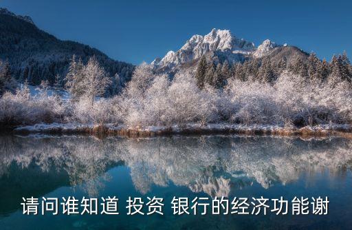 請(qǐng)問誰(shuí)知道 投資 銀行的經(jīng)濟(jì)功能謝