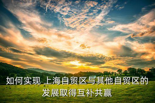 如何實現 上海自貿區(qū)與其他自貿區(qū)的發(fā)展取得互補共贏