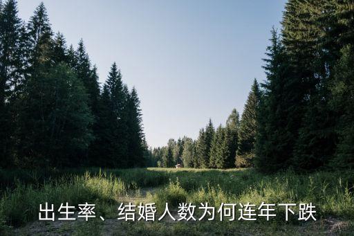 出生率、結(jié)婚人數(shù)為何連年下跌