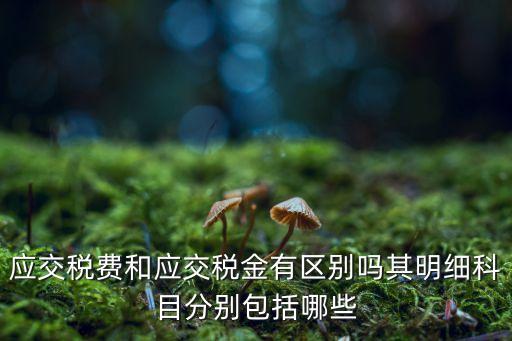 預提防洪保安保安基金分錄圖片