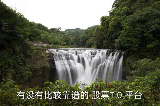 有沒(méi)有比較靠譜的 股票T 0 平臺(tái)