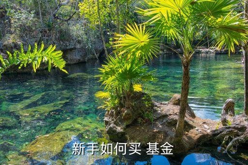 新手如何買(mǎi) 基金
