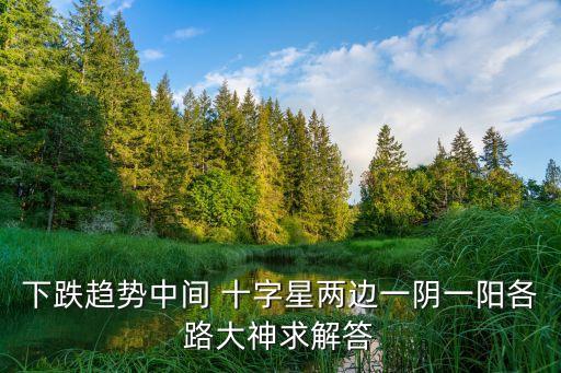 下跌趨勢(shì)中間 十字星兩邊一陰一陽各路大神求解答